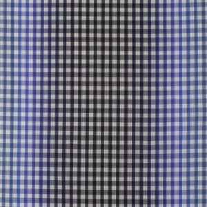 Ombre Palaka-Gray/Navy